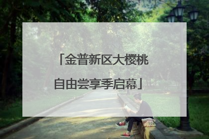 金普新区大樱桃自由尝享季启幕