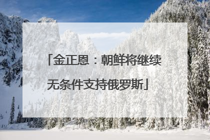 金正恩：朝鲜将继续无条件支持俄罗斯