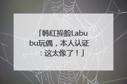 韩红撞脸Labubu玩偶，本人认证：这太像了！