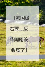 韩国极右翼，反华闹剧该收场了
