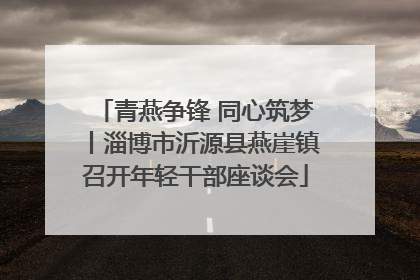 青燕争锋 同心筑梦丨淄博市沂源县燕崖镇召开年轻干部座谈会