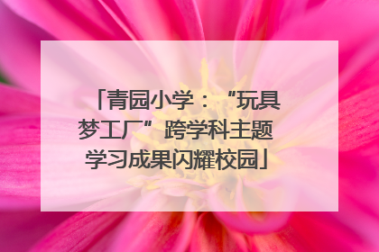 青园小学：“玩具梦工厂”跨学科主题学习成果闪耀校园