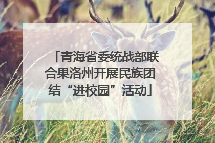 青海省委统战部联合果洛州开展民族团结“进校园”活动