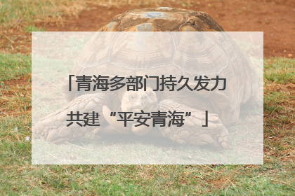青海多部门持久发力共建“平安青海”