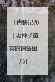 青耕记③｜老种子蔬菜的销售困局