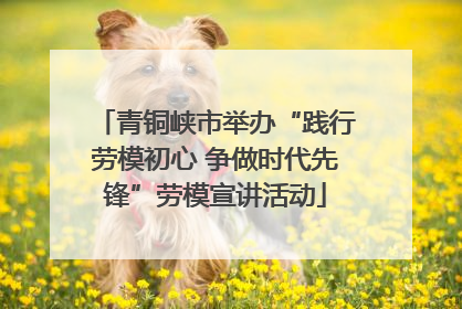 青铜峡市举办“践行劳模初心 争做时代先锋”劳模宣讲活动