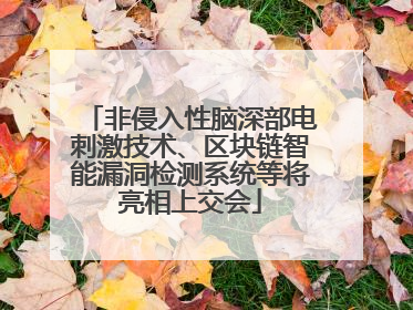 非侵入性脑深部电刺激技术、区块链智能漏洞检测系统等将亮相上交会