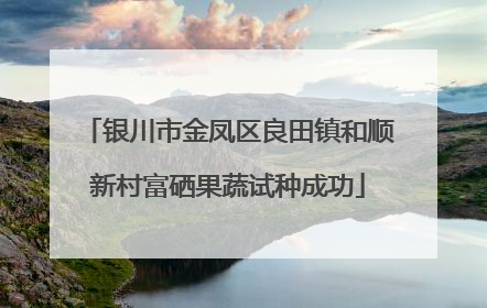 银川市金凤区良田镇和顺新村富硒果蔬试种成功