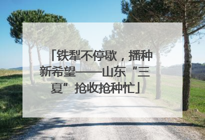 铁犁不停歇，播种新希望——山东“三夏”抢收抢种忙