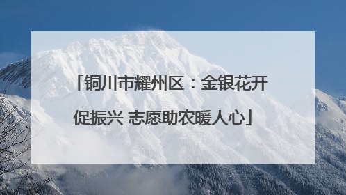 铜川市耀州区：金银花开促振兴 志愿助农暖人心