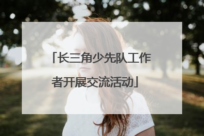 长三角少先队工作者开展交流活动