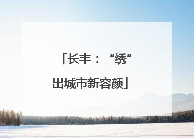 长丰：“绣”出城市新容颜