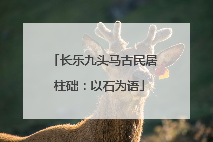 长乐九头马古民居柱础：以石为语