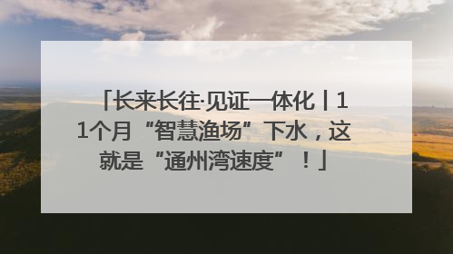 长来长往·见证一体化丨11个月“智慧渔场”下水，这就是“通州湾速度”！