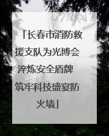 长春市消防救援支队为光博会淬炼安全盾牌 筑牢科技盛宴防火墙