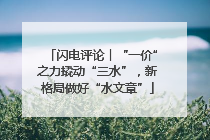 闪电评论丨“一价”之力撬动“三水”，新格局做好“水文章”