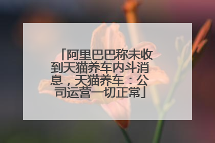 阿里巴巴称未收到天猫养车内斗消息，天猫养车：公司运营一切正常