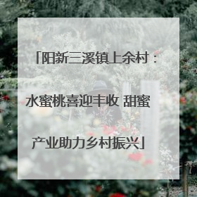 阳新三溪镇上余村：水蜜桃喜迎丰收 甜蜜产业助力乡村振兴