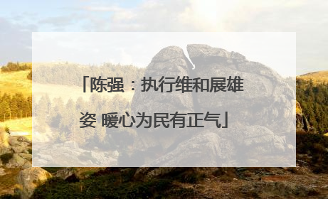 陈强：执行维和展雄姿 暖心为民有正气