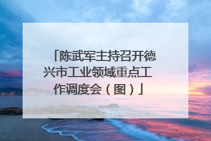 陈武军主持召开德兴市工业领域重点工作调度会（图）