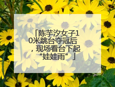 陈芋汐女子10米跳台夺冠后，现场看台下起“娃娃雨”
