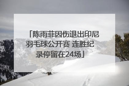 陈雨菲因伤退出印尼羽毛球公开赛 连胜纪录停留在24场
