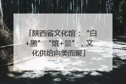 陕西省文化馆：“白+黑”“馆+景”，文化供给向美而聚