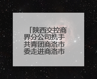 陕西交控商界分公司携手共青团商洛市委走进商洛市儿童福利院