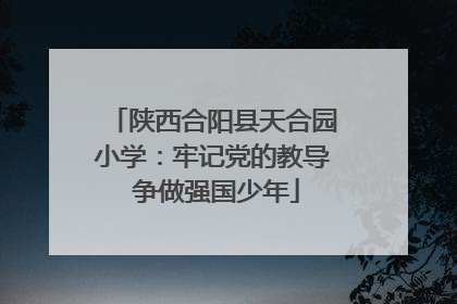 陕西合阳县天合园小学：牢记党的教导 争做强国少年