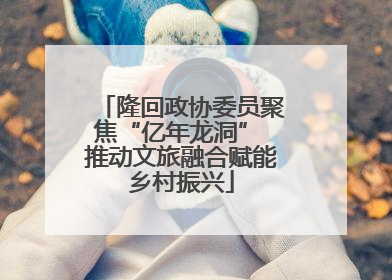 隆回政协委员聚焦“亿年龙洞” 推动文旅融合赋能乡村振兴