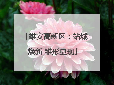 雄安高新区：站城焕新 雏形显现