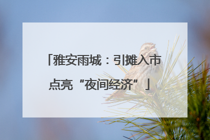 雅安雨城：引摊入市 点亮“夜间经济”