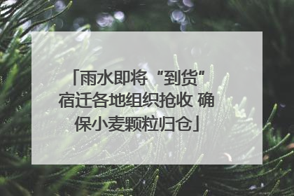 雨水即将“到货” 宿迁各地组织抢收 确保小麦颗粒归仓