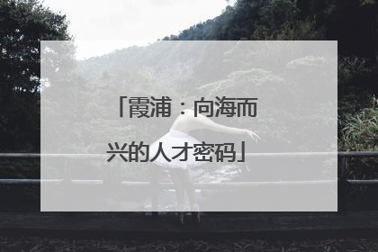 霞浦：向海而兴的人才密码