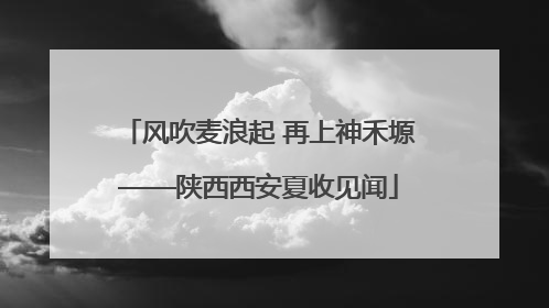 风吹麦浪起 再上神禾塬——陕西西安夏收见闻