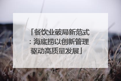 餐饮业破局新范式：海底捞以创新管理驱动高质量发展