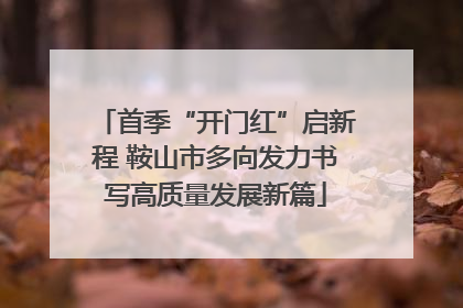 首季“开门红”启新程 鞍山市多向发力书写高质量发展新篇