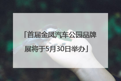 首届金凤汽车公园品牌展将于5月30日举办