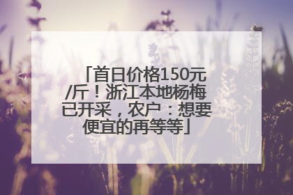 首日价格150元/斤！浙江本地杨梅已开采，农户：想要便宜的再等等