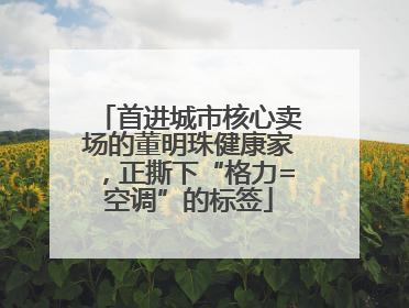 首进城市核心卖场的董明珠健康家，正撕下“格力=空调”的标签