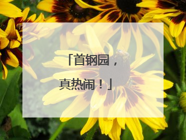 首钢园，真热闹！