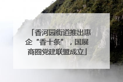 香河园街道推出惠企“香十条”，国展商圈党建联盟成立