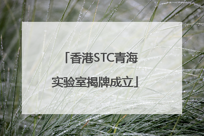 香港STC青海实验室揭牌成立