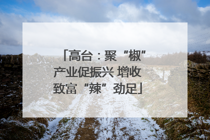 高台：聚“椒”产业促振兴 增收致富“辣”劲足