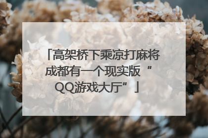 高架桥下乘凉打麻将 成都有一个现实版“QQ游戏大厅”