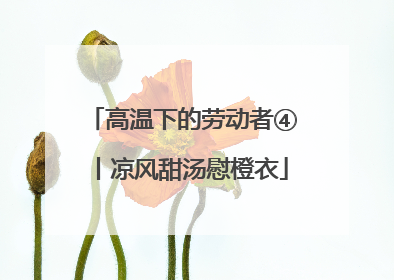 高温下的劳动者④丨凉风甜汤慰橙衣