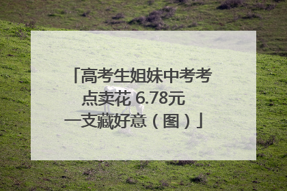 高考生姐妹中考考点卖花 6.78元一支藏好意（图）