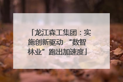 龙江森工集团：实施创新驱动 “数智林业”跑出加速度