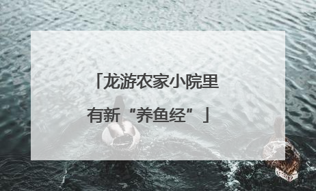 龙游农家小院里有新“养鱼经”