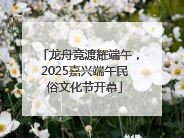 龙舟竞渡耀端午，2025嘉兴端午民俗文化节开幕